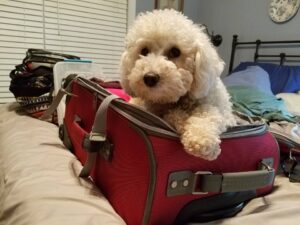 Glenda wants to travel, too.